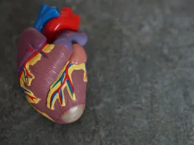 Blog, Recognising the Early Warning Signs of Heart Disease