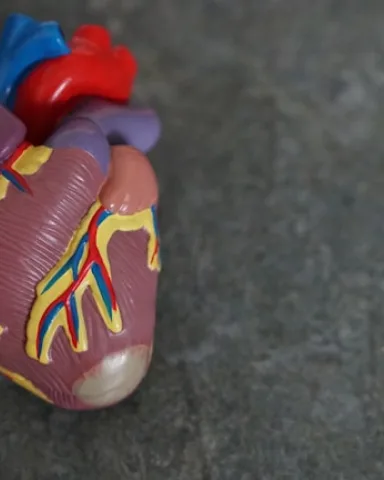 Blog, Recognising the Early Warning Signs of Heart Disease