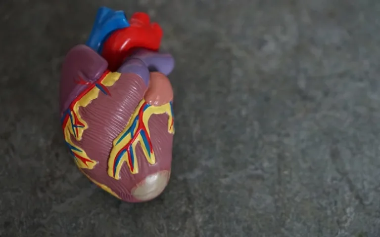 Blog, Recognising the Early Warning Signs of Heart Disease