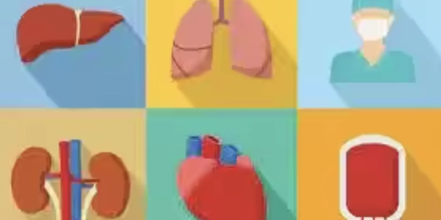 Nagpur gets 7th liver transplant centre, but waiting list remains long