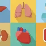 Nagpur gets 7th liver transplant centre, but waiting list remains long